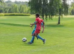 揭秘,索尔斯克亚,曝光安切洛,必赢电子,必赢电子官方网站,必赢电子平台