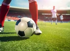 阿根廷与法,国巅峰对决,斯科拉对决,必赢电子,必赢电子官方网站,必赢电子平台