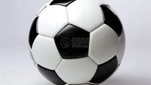 中国体育界面临东奥延期带来的三大挑战